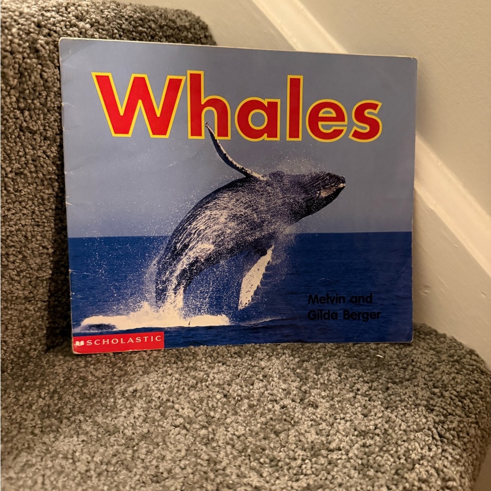 ✨10/$12✨Whales
